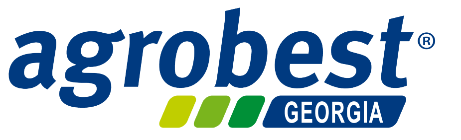 main logo